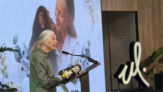 Jane Goodall saat forum. (instagram)